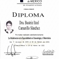 Ampliar imagen: certificate 2