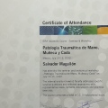 Ampliar imagen: certificate 7