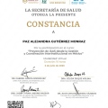 Ampliar imagen: certificate 37