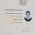 Ampliar imagen: certificate 1