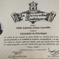 Ampliar imagen: certificate 5