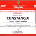 Ampliar imagen: certificate 11