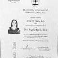 Ampliar imagen: certificate 1