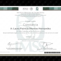 Ampliar imagen: certificate 11