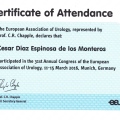 Ampliar imagen: certificate 4