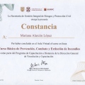 Ampliar imagen: certificate 3