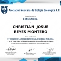 Ampliar imagen: certificate 3