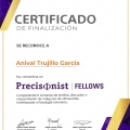 Ampliar imagen: certificate 5