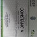 Ampliar imagen: certificate 3