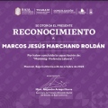 Ampliar imagen: certificate 10
