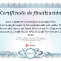 Ampliar imagen: certificate 8