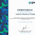 Ampliar imagen: certificate 20