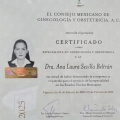 Ampliar imagen: certificate 2