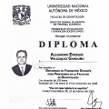 Ampliar imagen: certificate 4