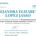 Ampliar imagen: certificate 1