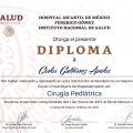 Ampliar imagen: certificate 8