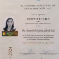 Ampliar imagen: certificate 3