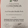 Ampliar imagen: certificate 3