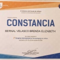 Ampliar imagen: certificate 6