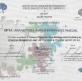 Ampliar imagen: certificate 12