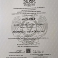 Ampliar imagen: certificate 2
