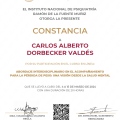 Ampliar imagen: certificate 3