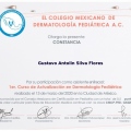 Ampliar imagen: certificate 3