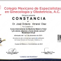 Ampliar imagen: certificate 11