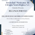 Ampliar imagen: certificate 4