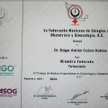 Ampliar imagen: certificate 4