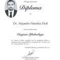 Ampliar imagen: certificate 5