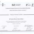 Ampliar imagen: certificate 9