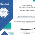 Ampliar imagen: certificate 2