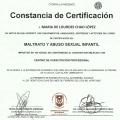 Ampliar imagen: certificate 11