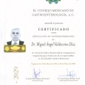 Ampliar imagen: certificate 1