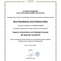 Ampliar imagen: certificate 7