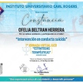Ampliar imagen: certificate 3