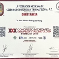 Ampliar imagen: certificate 8