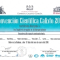Ampliar imagen: certificate 13