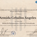 Ampliar imagen: certificate 2