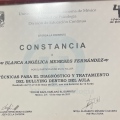Ampliar imagen: certificate 28