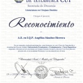 Ampliar imagen: certificate 1