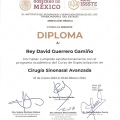 Ampliar imagen: certificate 7
