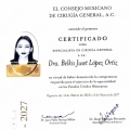 Ampliar imagen: certificate 1