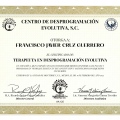 Ampliar imagen: certificate 11