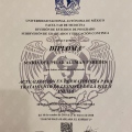 Ampliar imagen: certificate 5