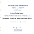 Ampliar imagen: certificate 7