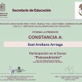 Ampliar imagen: certificate 5