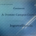 Ampliar imagen: certificate 5