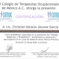 Ampliar imagen: certificate 21